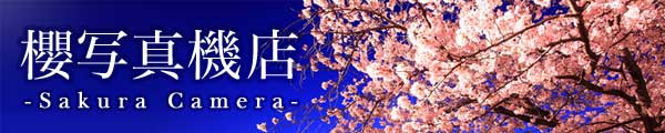 Sakura camera